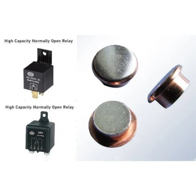 Large Power Relay Contacts Large Power Relay Contacts
